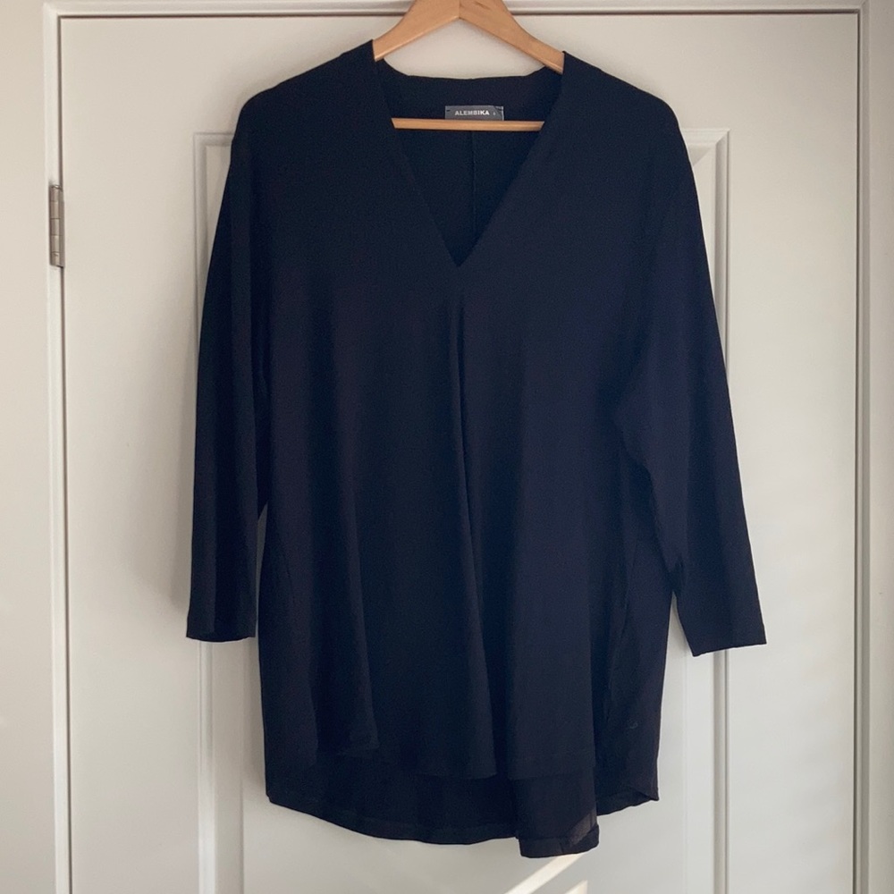 Alembika V-Neck Top